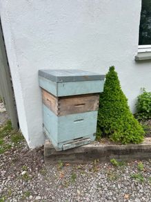 Beehive