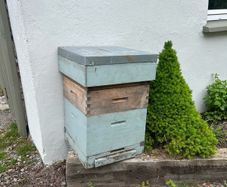 Beehive