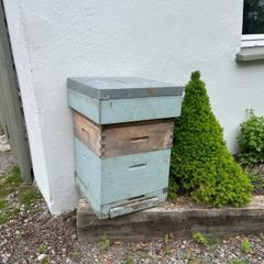 Beehive