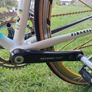 Pinarello Treviso Italia 56cm 10 sp Campy Record Image 5