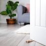 NEW SALE | Brand Beech Door Wedge, Stopper, Natural Beech Wood, Size: 15x3x3cm, Natural Image 3