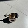 Sterling Silver Cream Jug Image 3