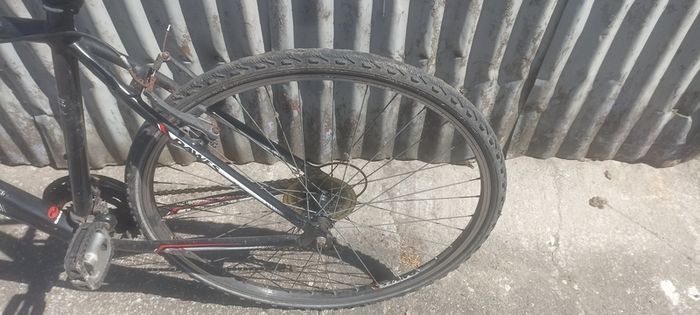 adult bikes