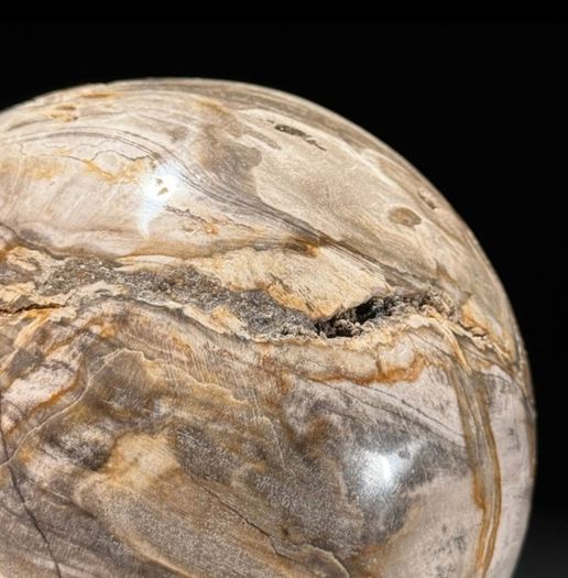 Polished Petrified Wood Geode Sphere (Diameter 10.2cm) - Wood, Woden Stand