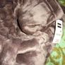 New Dressing gown, size M Image 2