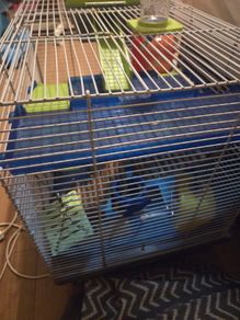 hamster cage