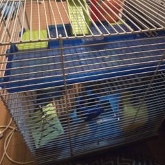 hamster cage
