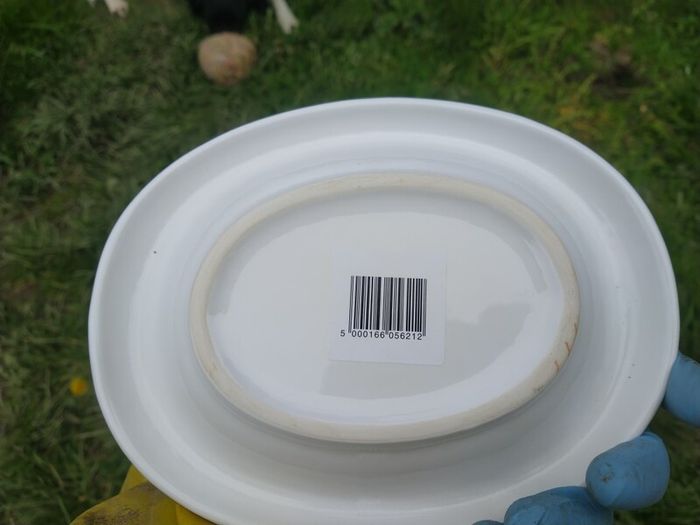 Cat bowls x 15