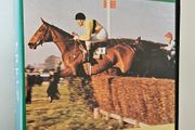 Arkle The Legend Vhs Film - Nick O'Toole - Niall Tobin - Irish Horse Racing Collectible