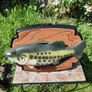 Singing fish Image 3
