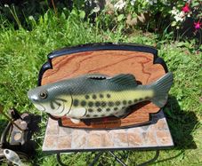 Singing fish