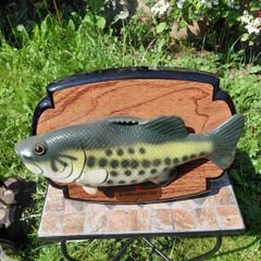 Singing fish