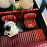 sylvanian family bundle Image 6