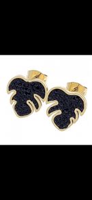Stainless steel earrings