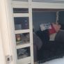 Loft bed and sofa bed Image 2