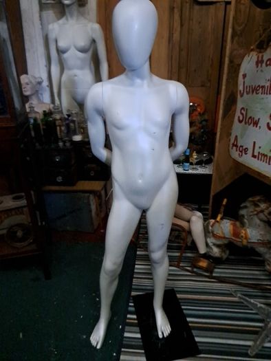 Teenage Mannequin