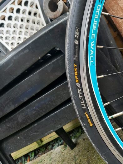carrera road bike