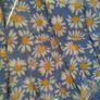 New M&S Summer - size 2-3 Image 2