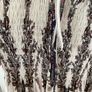 Beautiful boho boutique dress Image 7