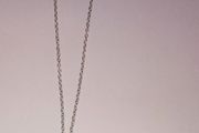Pet Chain