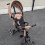 Trike in toffee brown colour Image 2