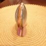 beautiful onyx dolphin Image 4