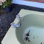 bath Image 2
