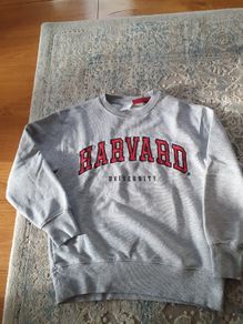 Zara Boys sweatshirt