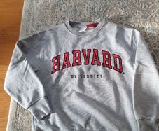 Zara Boys sweatshirt