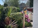 For Any outdoors or Gardening job, small or Big . Image 10
