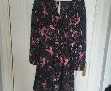 women's dress