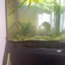Juwel  125 litre tank and cabinet set Image 6