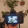 Canon EOS 760D w/ Canon 24-105mm Image 10