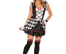 Ladies Fancydress Costume