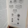 The Invertebrata: A Manual for the Use of Students by the Late L. A. Borradaile and F. A. Potts (RB246) Image 6