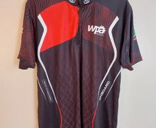Wales pool jersey