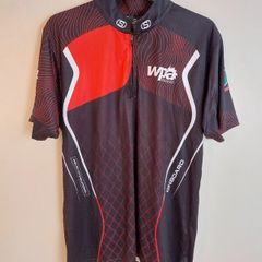 Wales pool jersey