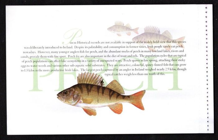 2001 Ireland Freshwater Fish Commemorative Stamp Booklet Mint Never Hinged (MNH). Photos of contents shown.