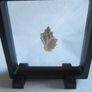 3D Floating Frame - Black 11x11cm Image 5
