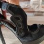 Buffalo London  Black Genuine leather Platform Heels, size 39 Image 7