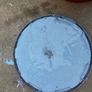 10 litres colourtrend blue paint Image 3
