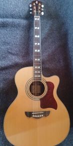 Acoustic guitar