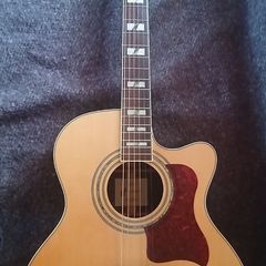 Acoustic guitar