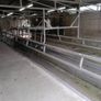 Milking machine Image 3