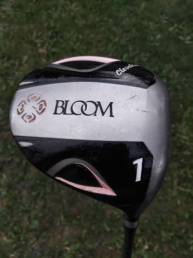 Cleveland ladies golf set,