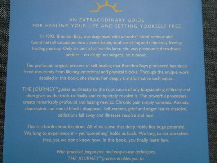 The Journey, Brandon Bays, Paperback book, Health and healing