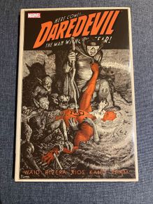 Daredevil By Mark Waid - Vol. 2