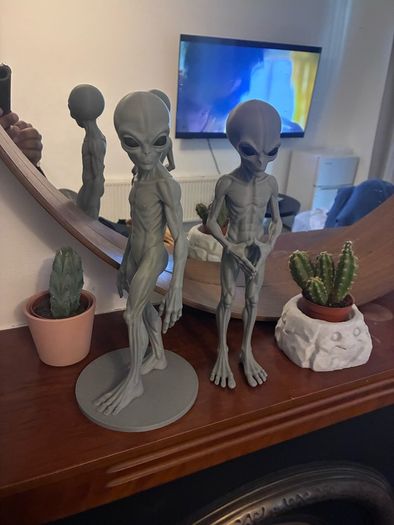 Twin Aliens 3D printer