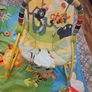 Baby Rocker and Play Mat Image 3