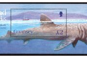 2005 Guernsey Endangered Species Basking Shark Stamp Miniature Sheet Mint Never Hinged (MNH)